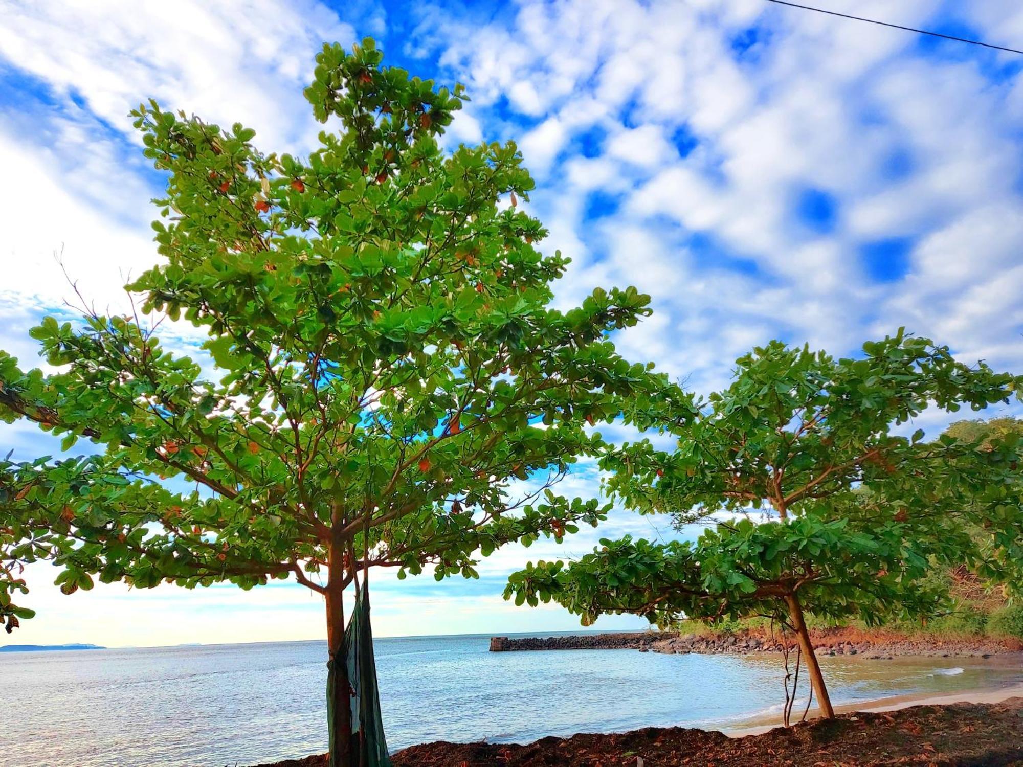 Navni Beach View Stay Гокарна Екстер'єр фото
